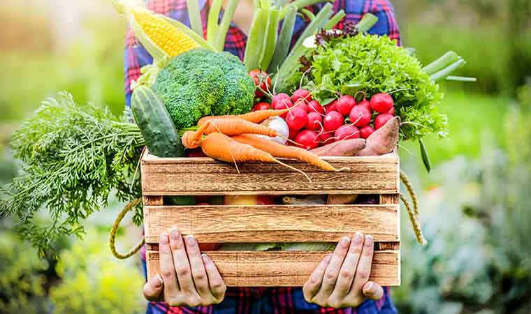 کدام سبزیجات برای لاغری خوب است؟