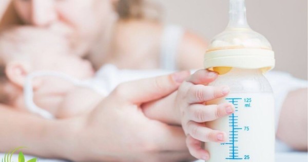 راه های افزایش شیر مادر در طب سنتی